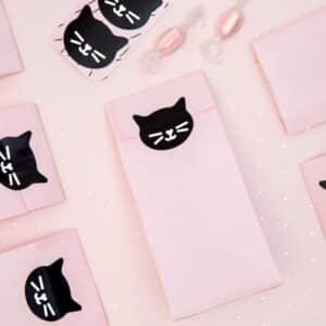 Sacs surprises chat noir pour anniversaire