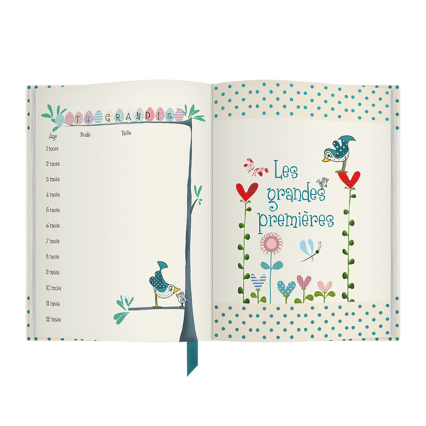 Raconte-Moi Maman, Journal de Grossesse et de Naissance