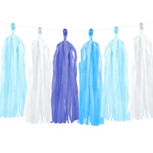 Guirlande tassel bleu mix